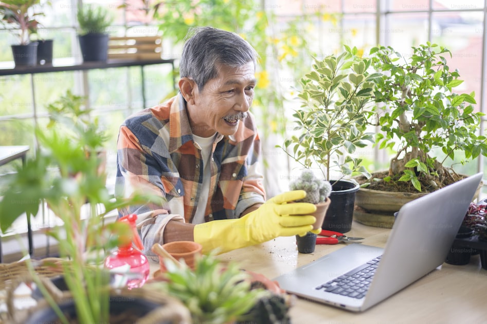 Watering container plants guide — detailed close-up view