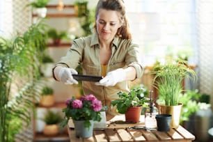 Relaxing home gardening. modern female in white rubber gloves with potted plant making photos using smartphone at modern home in sunny day.