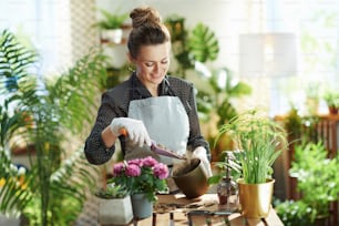 Hogar verde. Florista moderno sonriente en guantes de goma blancos con planta en maceta y arcilla expandida en casa moderna en día soleado.