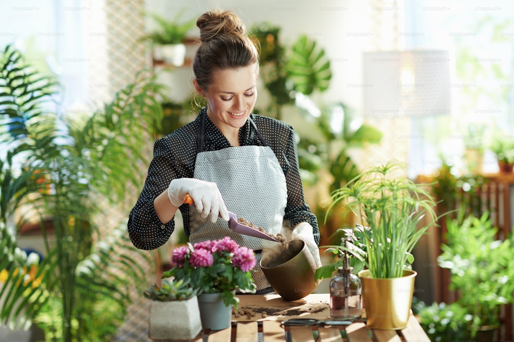 Green home. smiling modern florist in white rubber gloves with potted plant and expanded clay at modern home in sunny day.