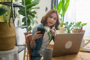 Eine junge Unternehmerin, die mit Laptop arbeitet, präsentiert Zimmerpflanzen während des Online-Livestreams zu Hause und verkauft Online-Konzept