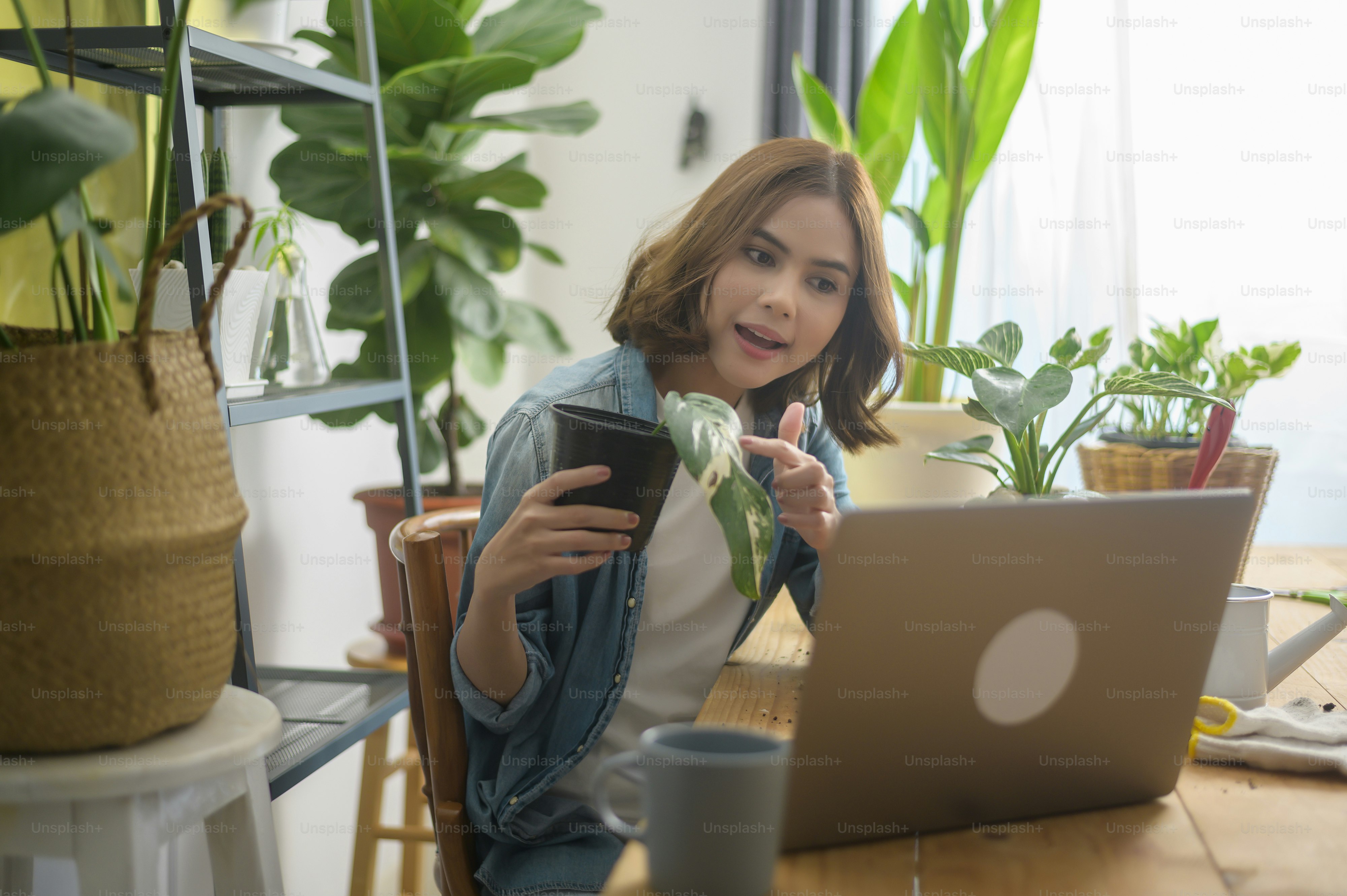 A young woman entrepreneur working with laptop presents houseplants during online live stream at home, selling online concept