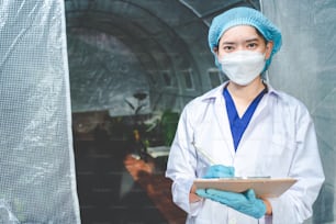 biology scientist working to research a growth plant in agriculture greenhouse, nature organic science technology or biotechnology in botany laboratory, people examining vegetable for food industry