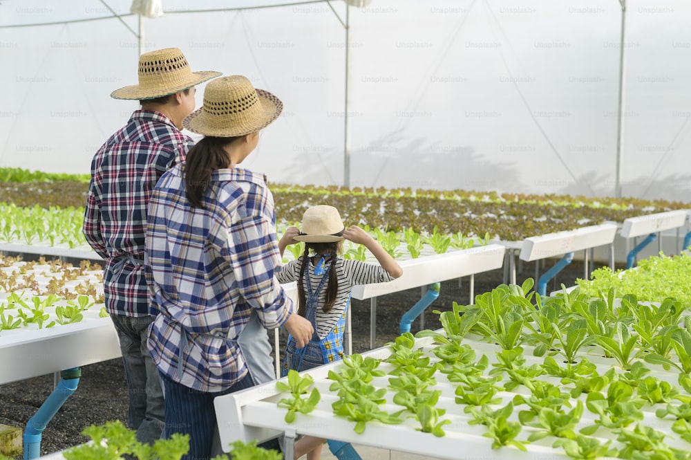 A happy farmer family working in hydroponic greenhouse farm, clean food and healthy eating concept