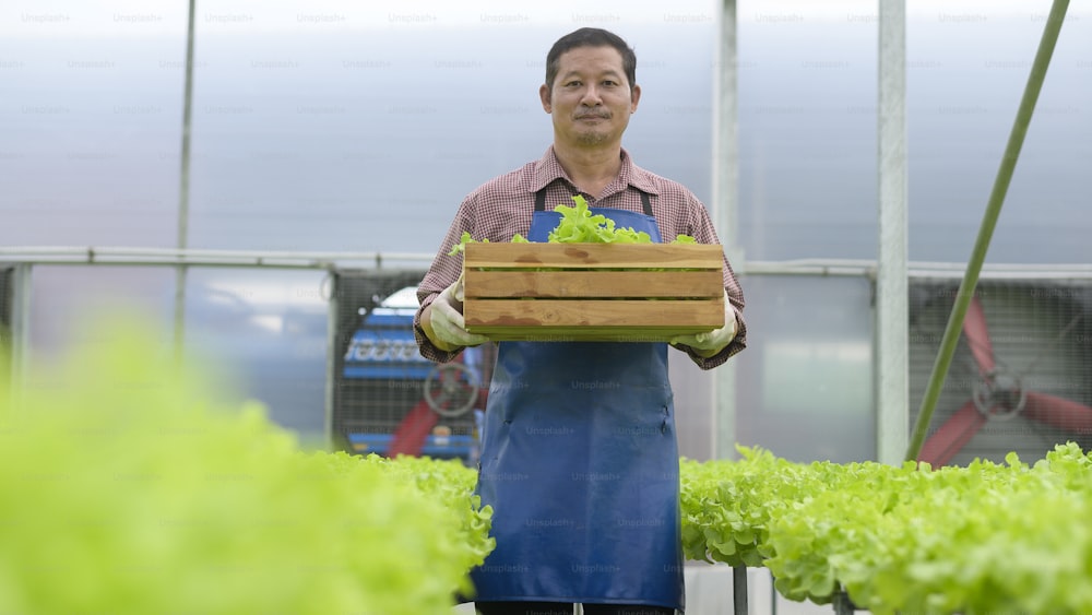 Ein glücklicher älterer Landwirt, der in einer hydroponischen Gewächshausfarm, sauberen Lebensmitteln und einem gesunden Ernährungskonzept arbeitet