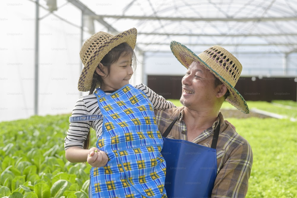 Nonno contadino felice e bambina che lavorano in una fattoria idroponica in serra, cibo pulito e concetto di alimentazione sana