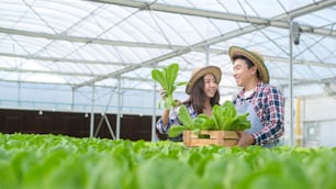 Una giovane coppia di agricoltori che lavora in una fattoria idroponica in serra, cibo pulito e concetto di alimentazione sana