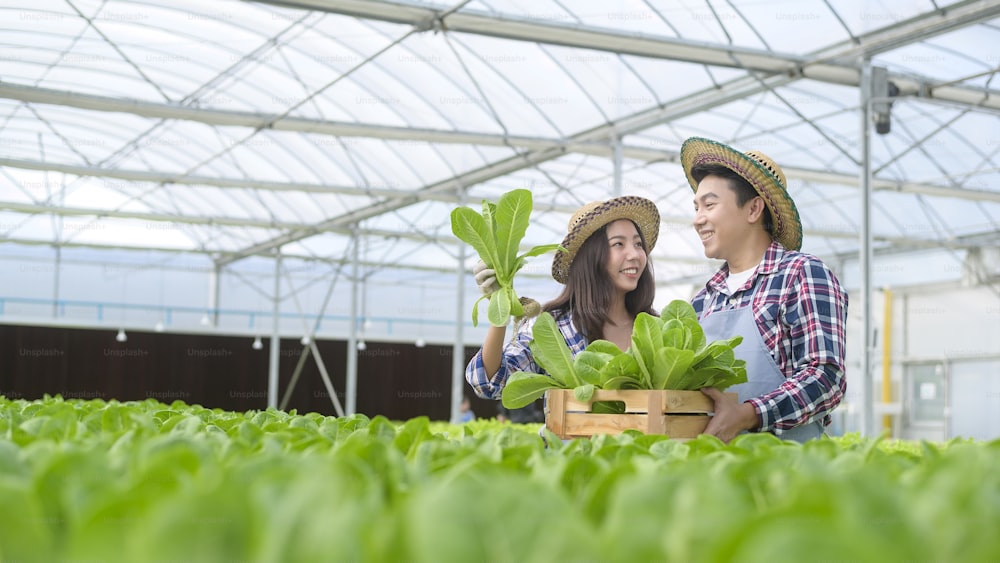 Una joven pareja de agricultores que trabaja en una granja de invernadero hidropónico, alimentos limpios y concepto de alimentación saludable
