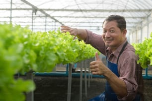 A happy senior farmer working in hydroponic greenhouse farm, clean food and healthy eating concept