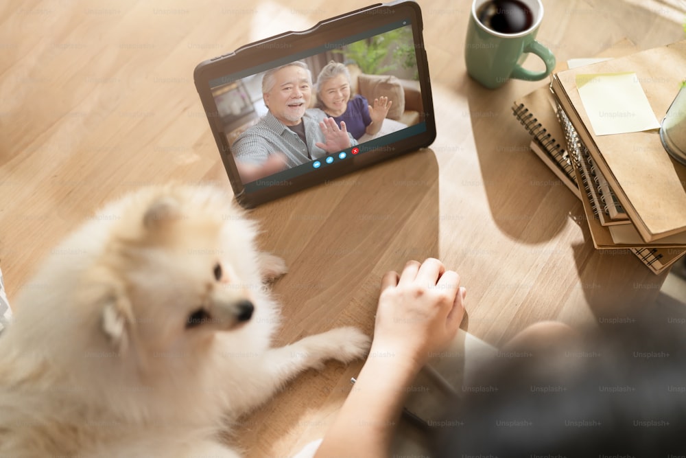video calling to family social distancing concept,asian female woman hand gesture and greeting to grandparent with love and happiness conversation talking online from tablet with little dog friend