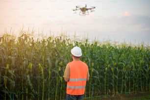 Um engenheiro do sexo masculino que controla a pulverização de fertilizantes e pesticidas por drones sobre terras agrícolas, inovações de alta tecnologia e agricultura inteligente