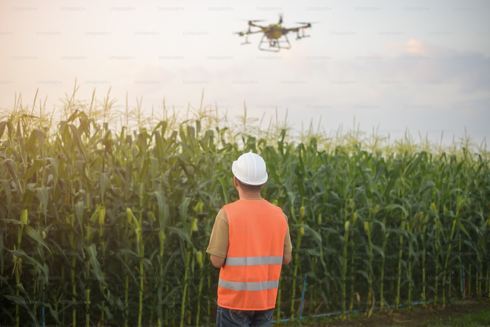 Um engenheiro do sexo masculino que controla a pulverização de fertilizantes e pesticidas por drones sobre terras agrícolas, inovações de alta tecnologia e agricultura inteligente
