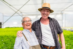 asian elder male checking quality of greenhouse hydroponic farm with caucasian buyer talking Cultivation green fresh vegetables grown in a hydroponic system farm growing organic vegetables products