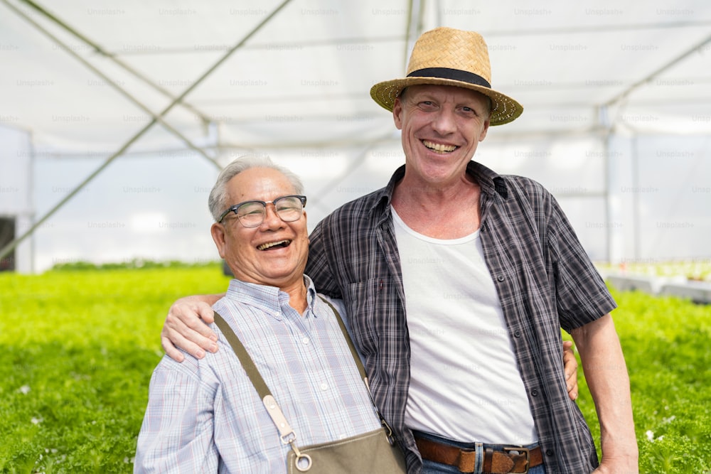 asian elder male checking quality of greenhouse hydroponic farm with caucasian buyer talking Cultivation green fresh vegetables grown in a hydroponic system farm growing organic vegetables products