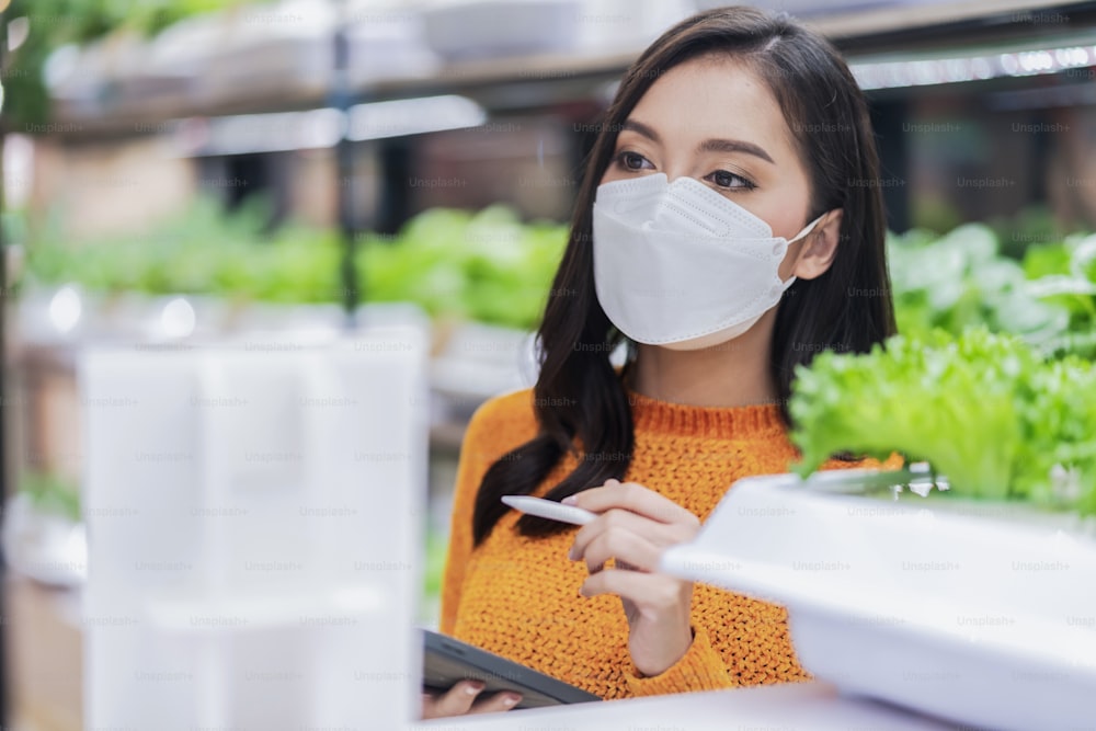 entrepreneur green house hydroponic farm small business asian female owner wear facial mask hand using tablet quality checking about water system and fertilizer feeding for fresh green vegetable rack