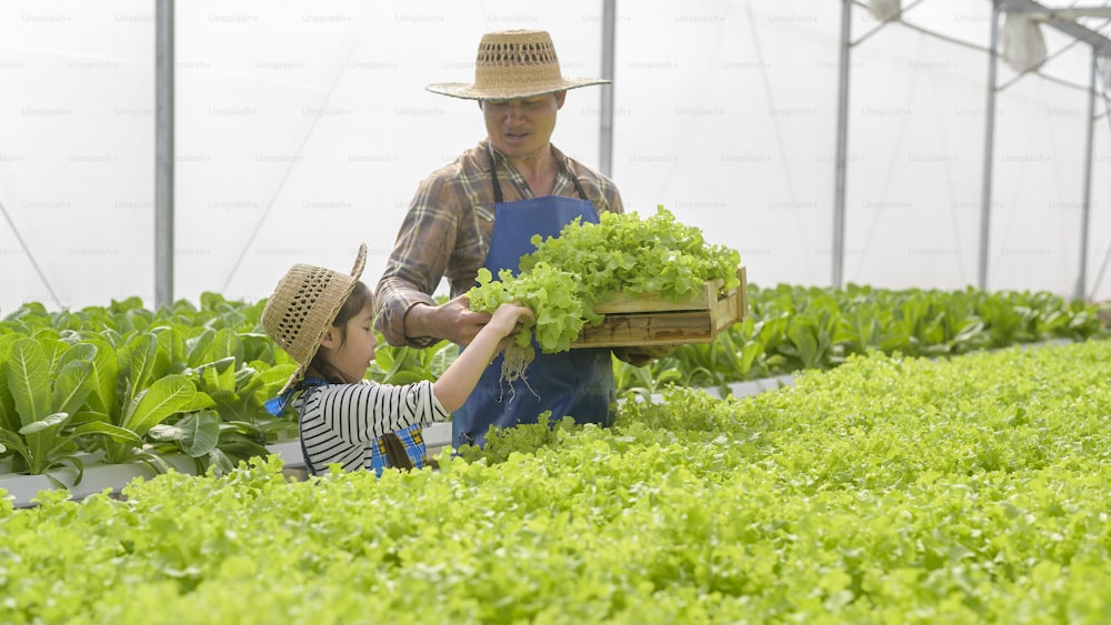 Nonno contadino felice e bambina che lavorano in una fattoria idroponica in serra, cibo pulito e concetto di alimentazione sana