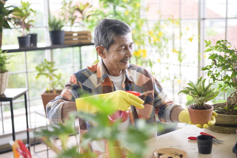 Ein glücklicher älterer asiatischer Rentner, der Baum sprüht und bewässert, genießt Freizeitaktivitäten zu Hause
