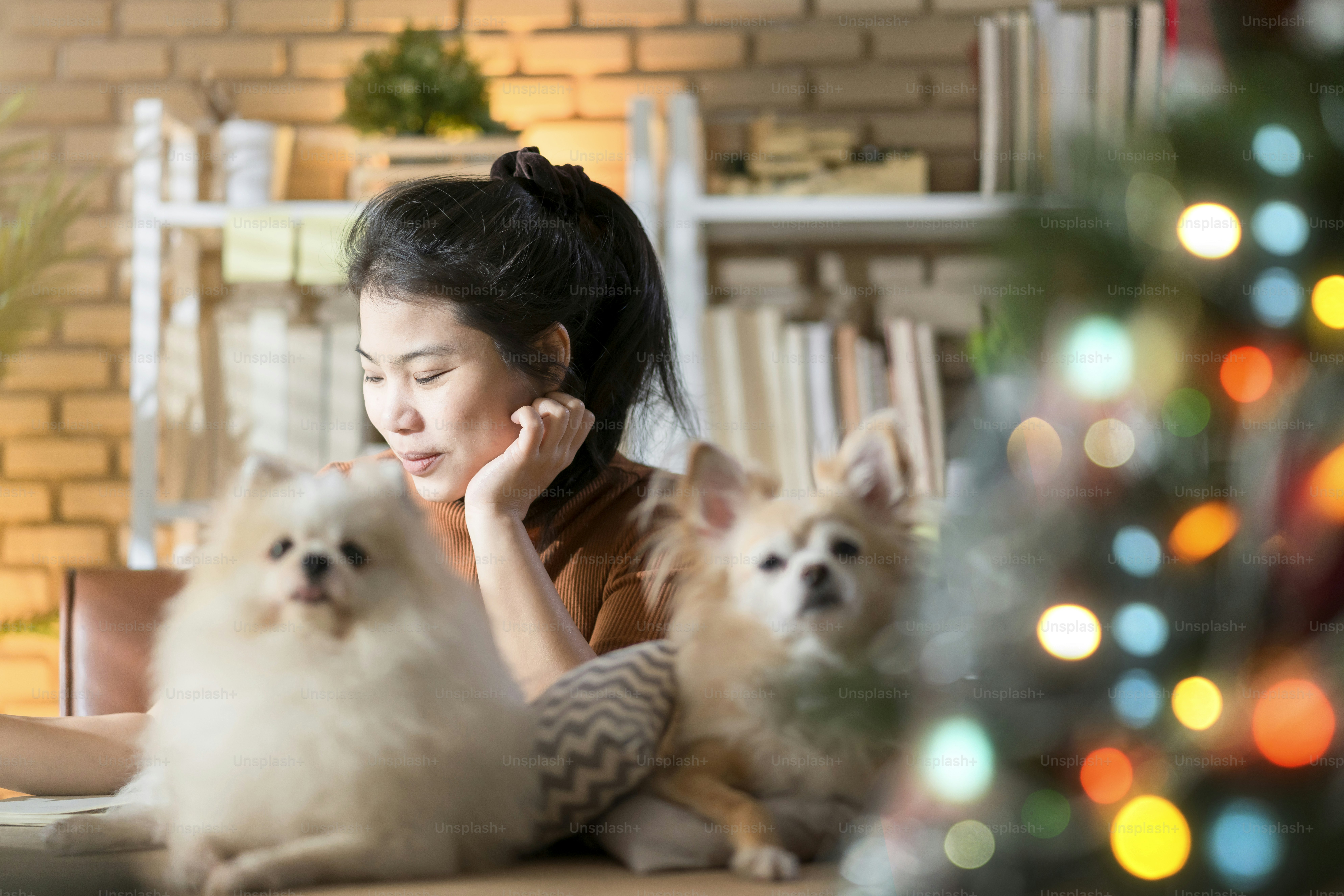 개를 키우는 여자 사진 – Unsplash의 여자 이미지