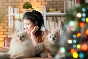 asian atraente mão feminina trabalhando em casa no feriado de véspera de Natal, estadia feminina asiática com pequeno cão de colo bonito brincando em torno da mesa de trabalho enquanto ela usa tablet para trabalhar em casa estúdio