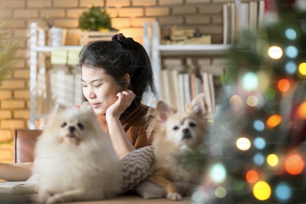 asian attractive female hand working from home in christmas eve holiday,asian female stay with little cute lapdog playing around on working desk while she using tablet for working from home studio
