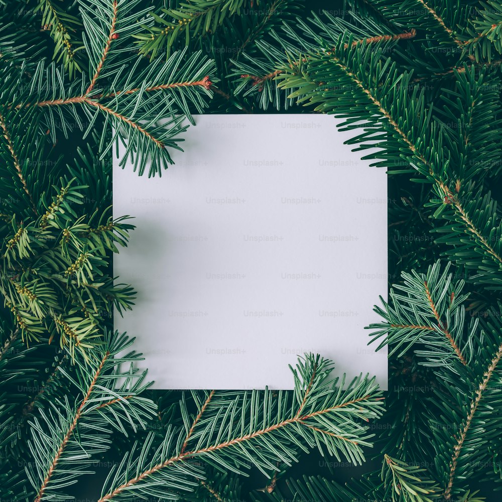 Mise en page créative faite de branches d’arbre de Noël avec une note de carte en papier. Pose à plat. Concept du Nouvel An de la nature.