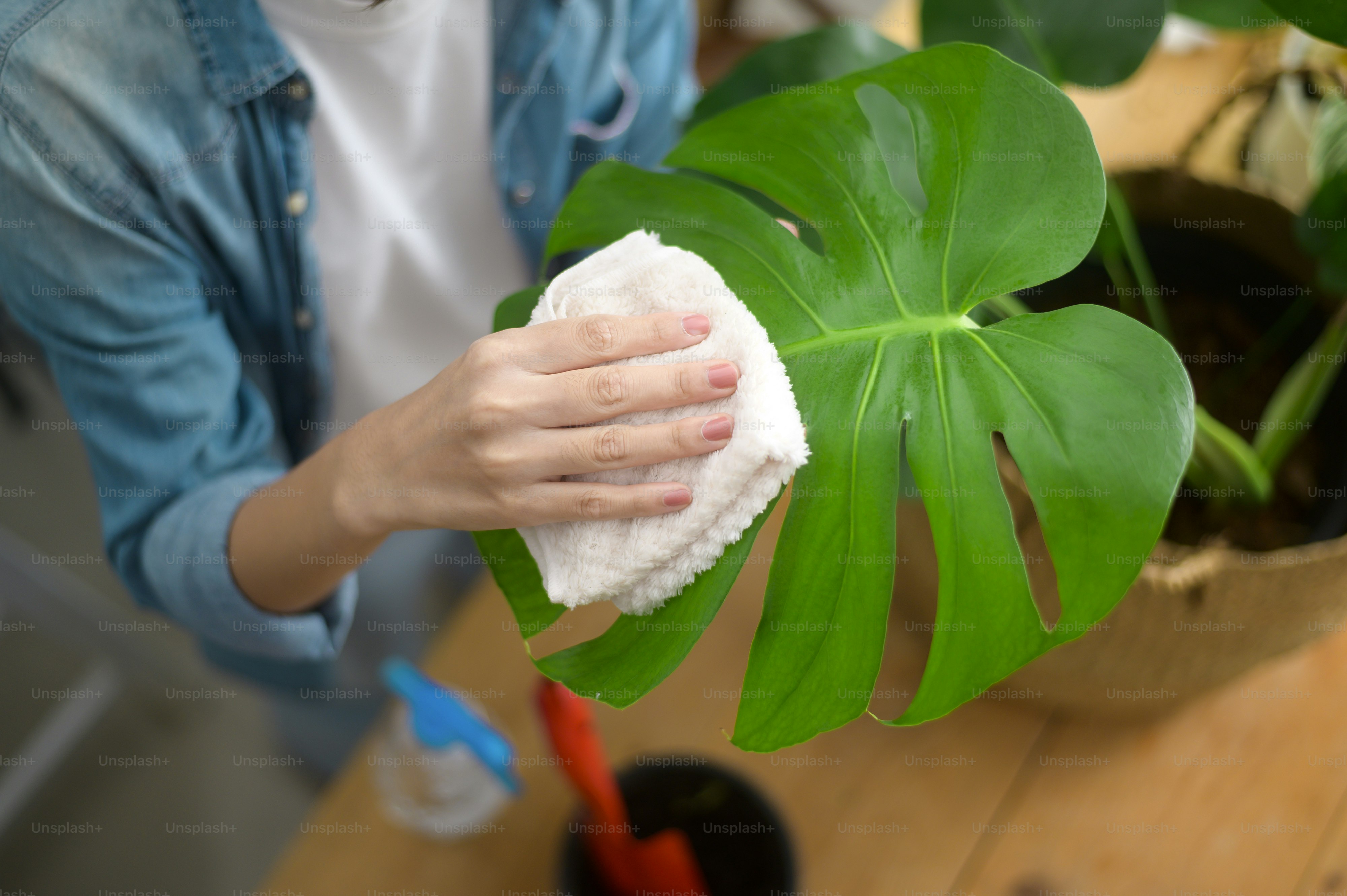 Uma vista superior da jovem bonita mulher feliz que desfruta e relaxa a atividade de lazer no jardim em casa