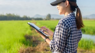 Une jeune agricultrice intelligente avec une tablette sur le terrain, des innovations de haute technologie et une agriculture intelligente