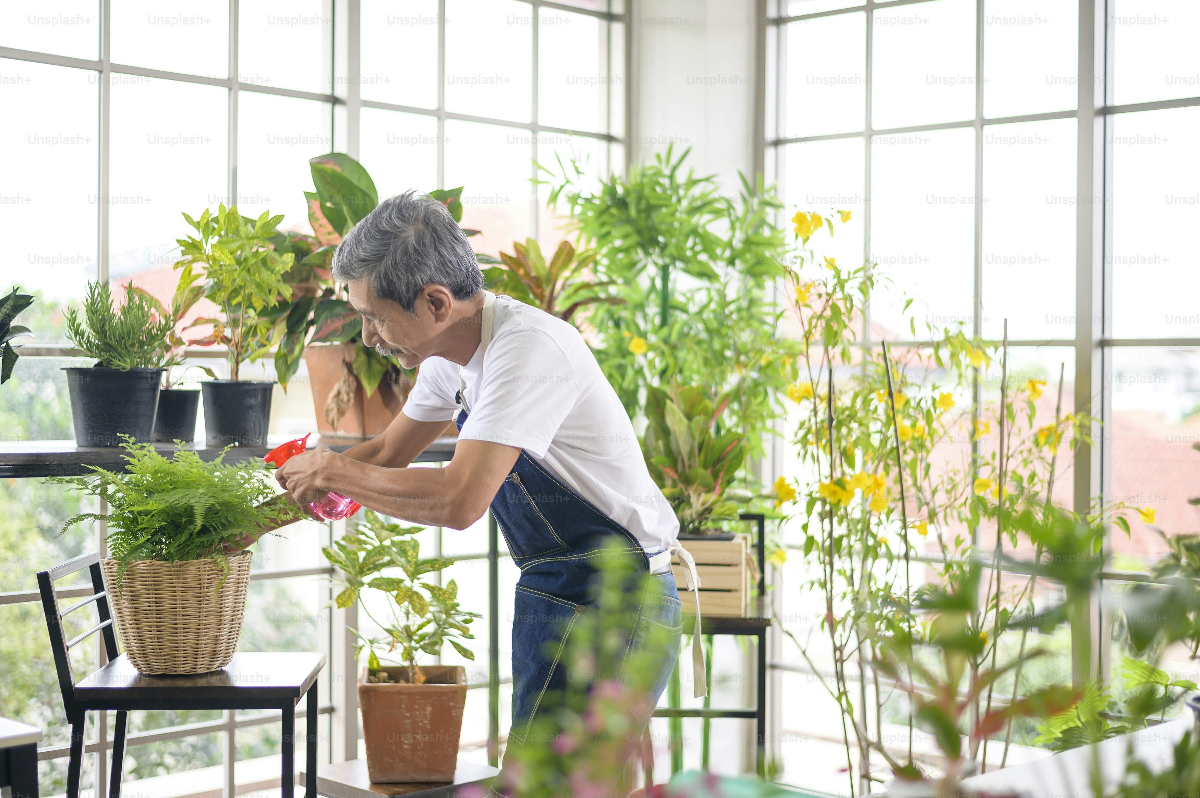 A happy senior asian retired man spraying and watering tree  enjoys  leisure activity at home