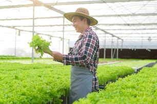 Un granjero masculino feliz que trabaja con una tableta en una granja de invernadero hidropónico, alimentos limpios y concepto de alimentación saludable