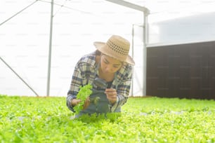 A young female farmer working in hydroponic greenhouse farm, clean food and healthy eating concept