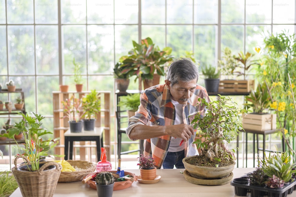 幸せなシニアアジアの引退した男性は、自宅の庭でリラックスしてレジャー活動を楽しんでいます。