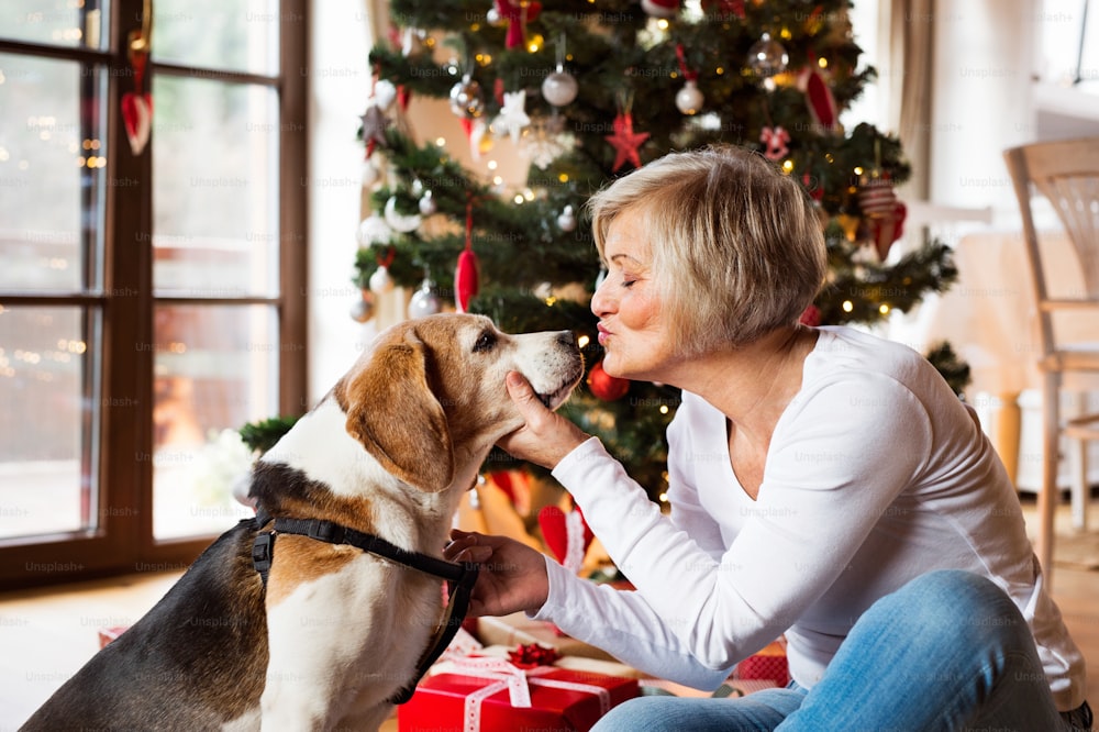 家の中のライトアップされたクリスマスツリーの前で床に座っている犬を連れた年配の女性
