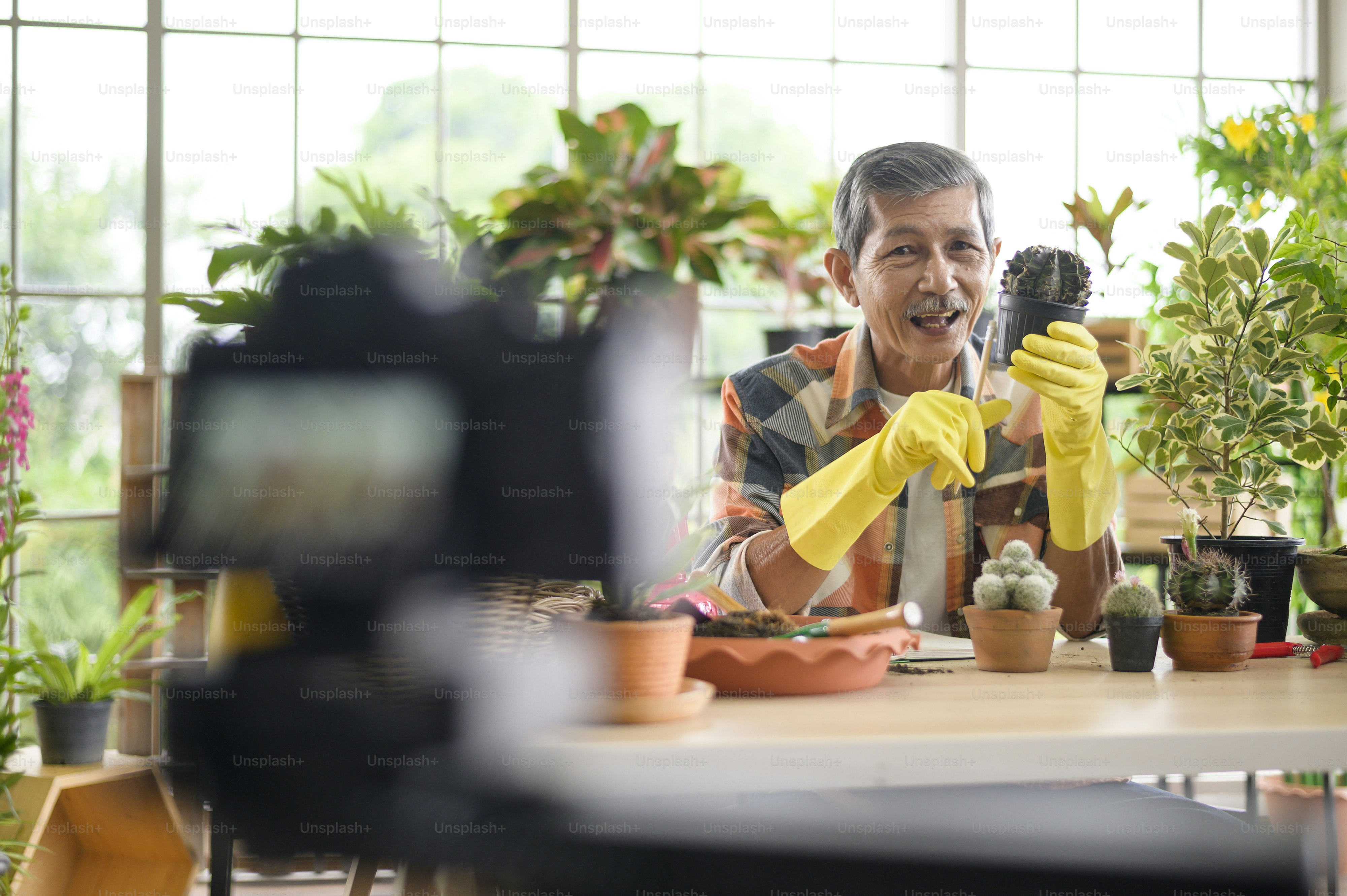 A senior man entrepreneur working with camera presents houseplants during online live stream at home, selling online concept
