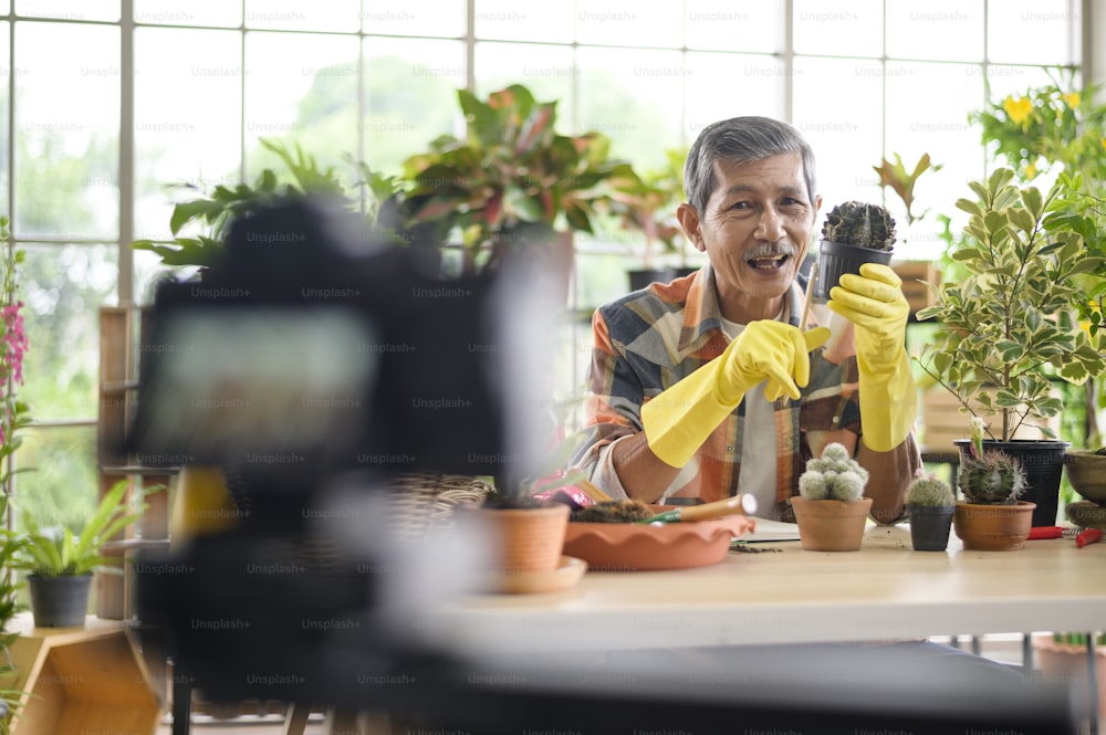 Ein älterer Unternehmer, der mit Kamera arbeitet, präsentiert Zimmerpflanzen während des Online-Live-Streams zu Hause und verkauft Online-Konzept