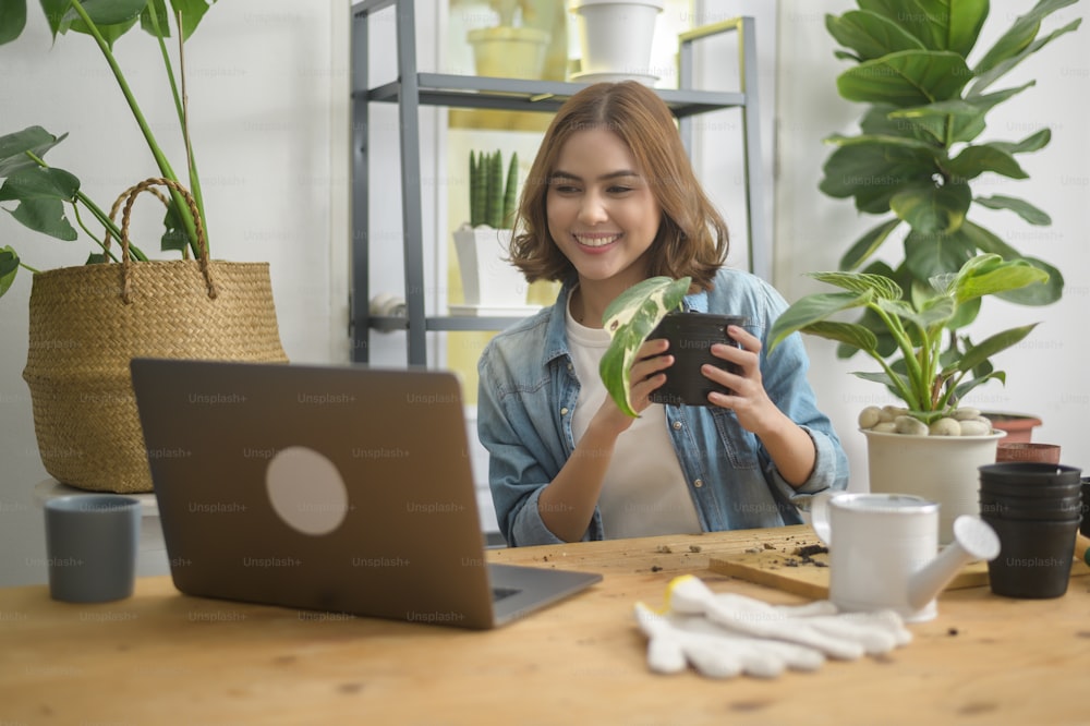 A young woman entrepreneur working with laptop presents houseplants during online live stream at home, selling online concept
