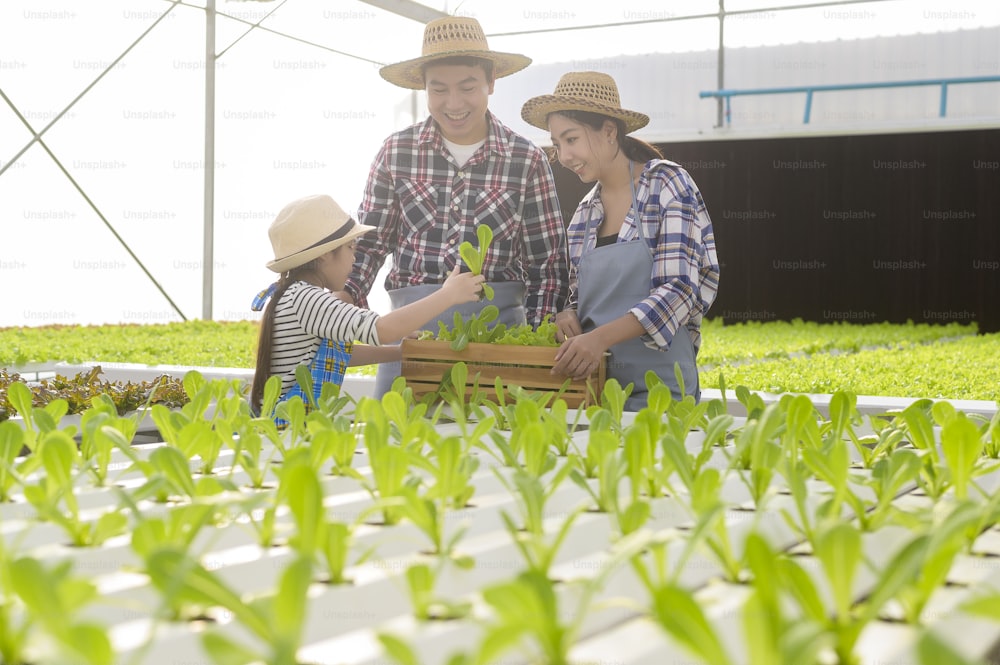 Una familia de granjeros feliz que trabaja en una granja de invernadero hidropónico, alimentos limpios y un concepto de alimentación saludable