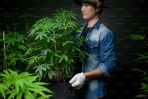 Farmer hält einen Cannabistopf, der sich in einer legalisierten Farm zeigt.