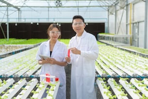 Científico que trabaja en granja de invernadero hidropónico, alimentos limpios y concepto de ciencia de alimentos