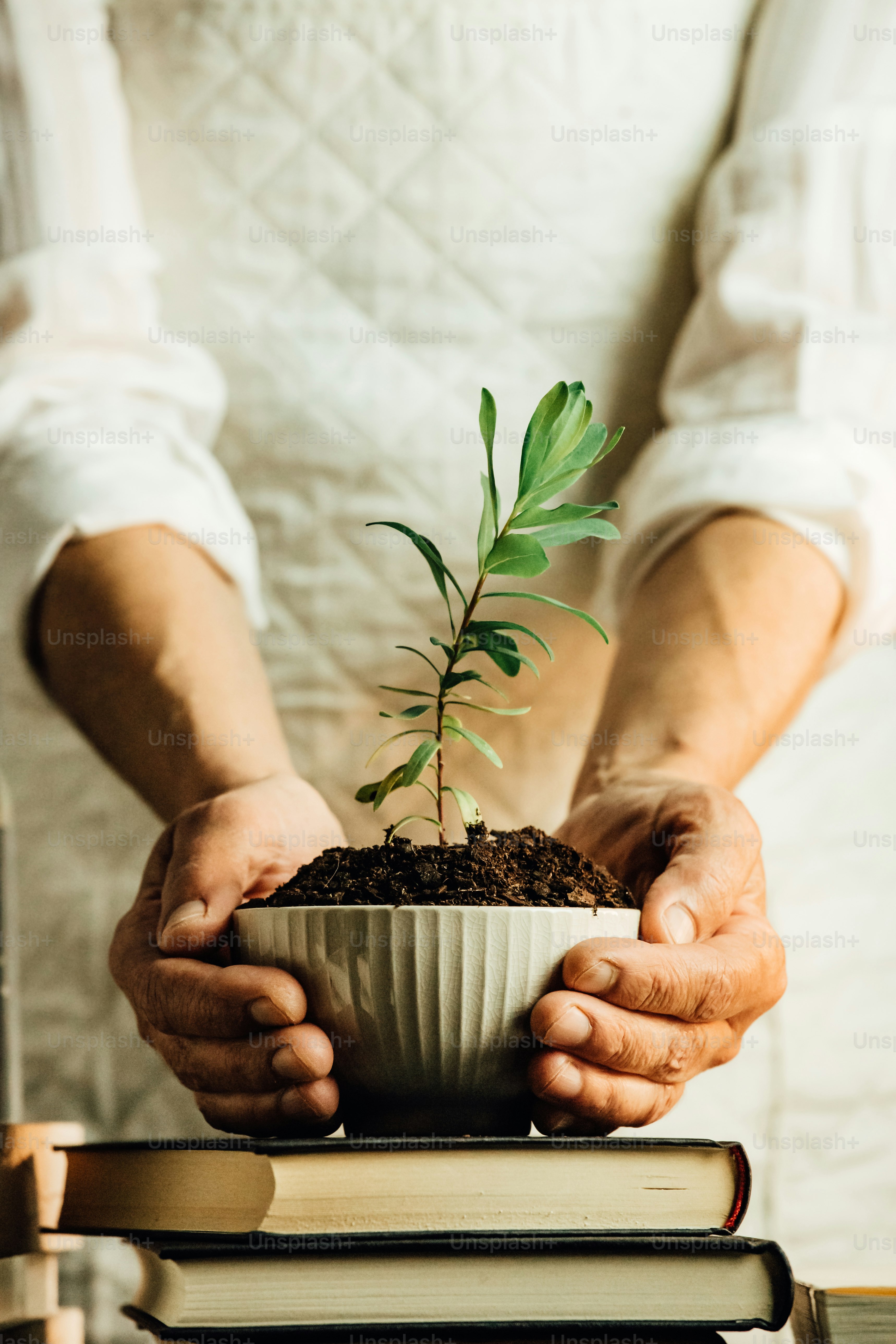 uma pessoa segurando um vaso de planta em cima de uma pilha de livros