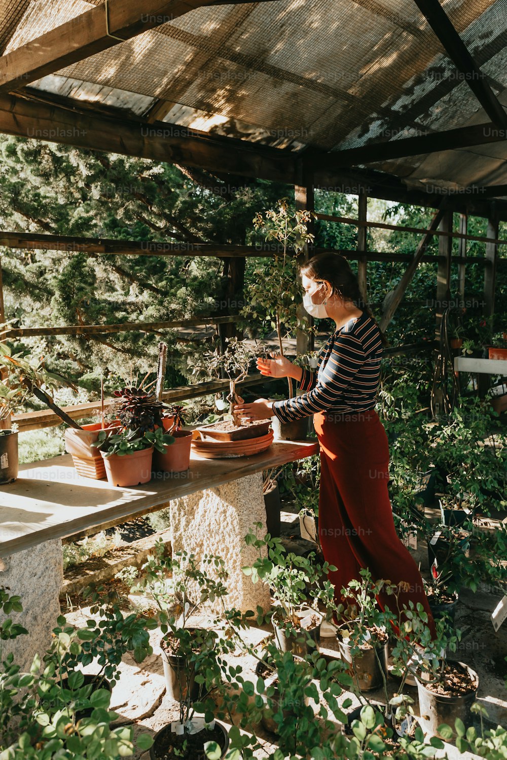 a woman in a striped shirt is working in a greenhouse