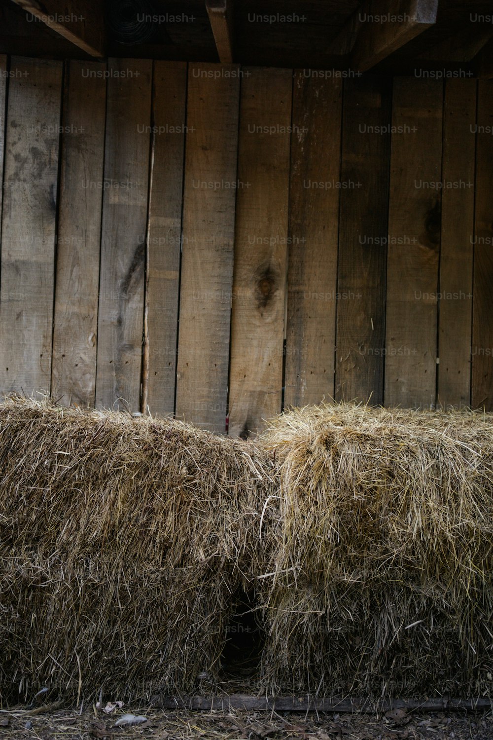 a sheep standing next to a pile of hay