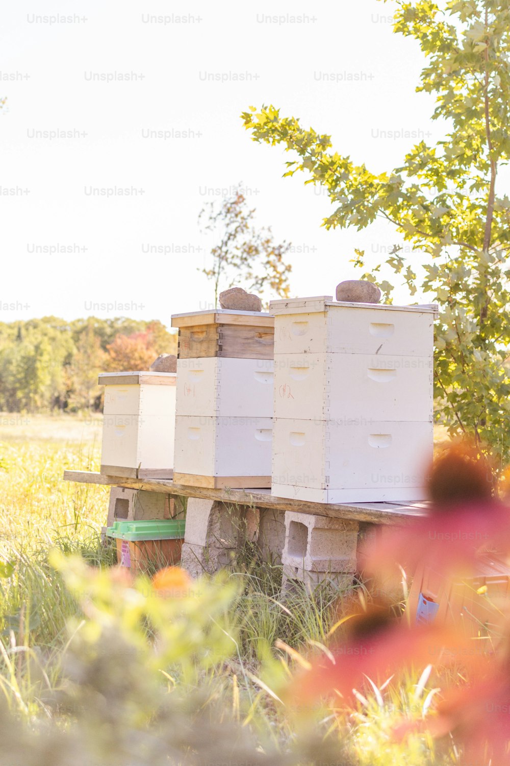 a bunch of beehives that are sitting in the grass