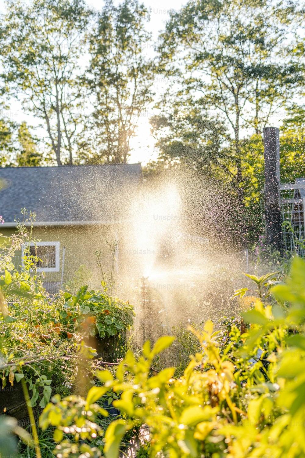 a sprinkle is spraying water on a house