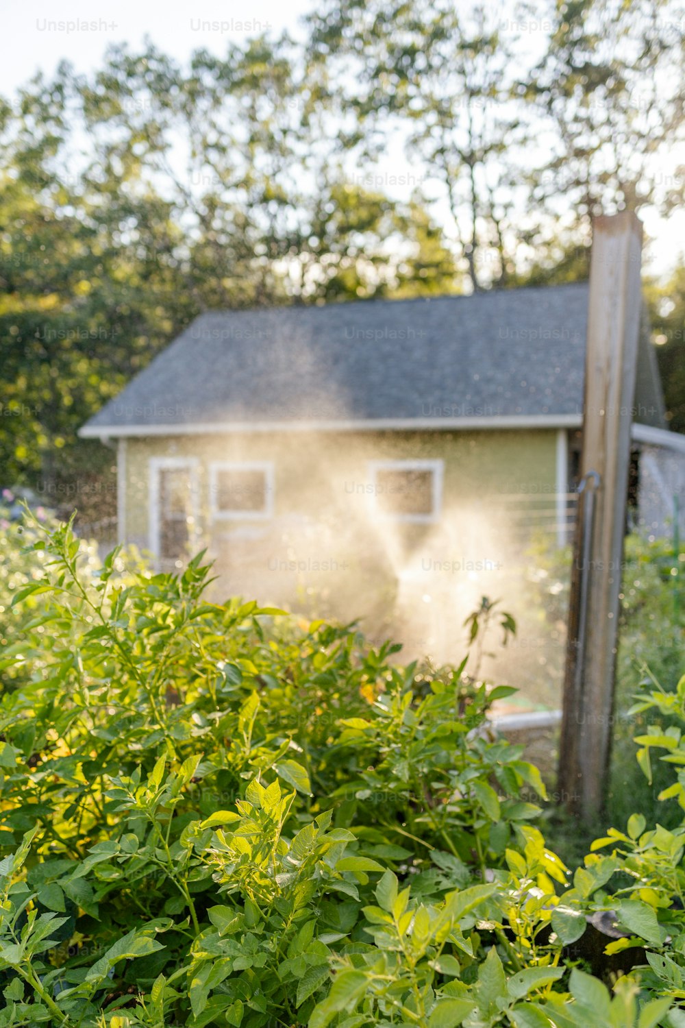 um hidrante em um jardim ao lado de uma casa