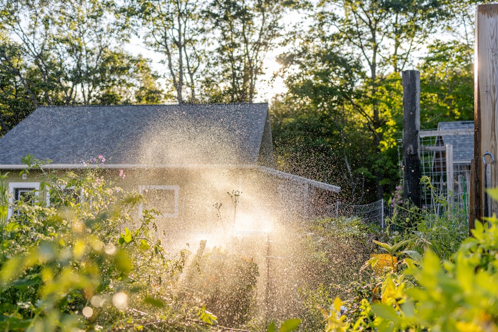 a sprinkle is spraying water on a house