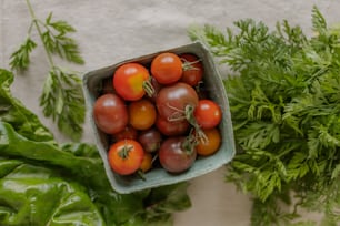 a bowl of tomatoes and parsley on a table