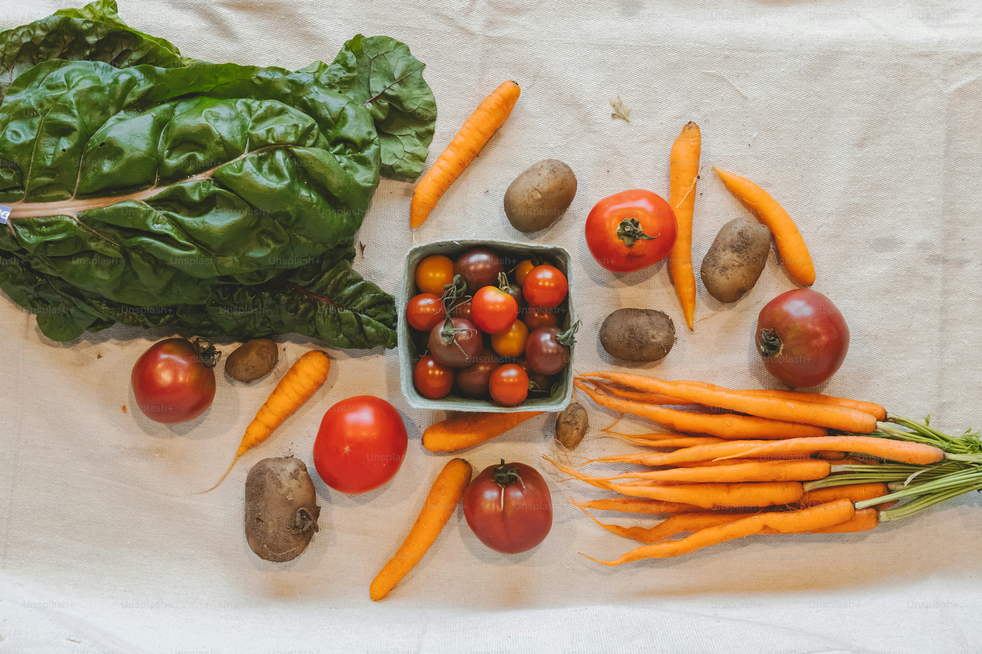 Exploring Plant-Based Diets: A Beginner’s Guide to Healthy Eating and Sustainable Living