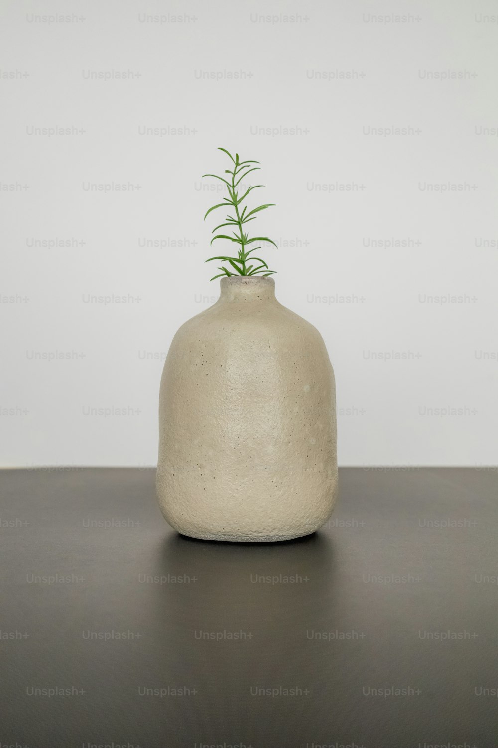 a white vase with a green plant in it