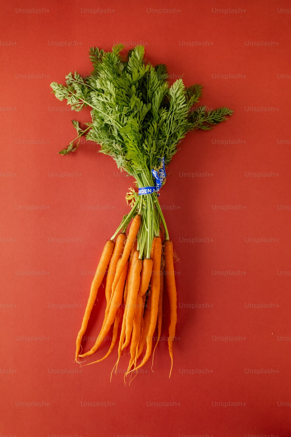 un mazzo di carote su una superficie rossa