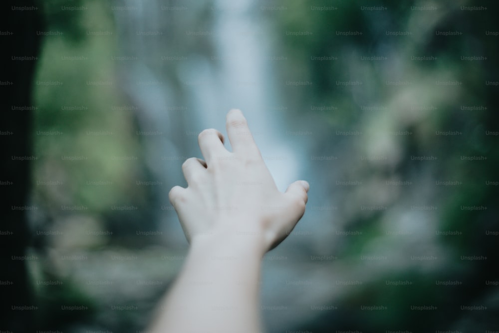 a person's hand reaching up into the air